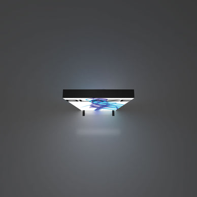 Blaze™ 4' × 8' Freestanding Light Box
