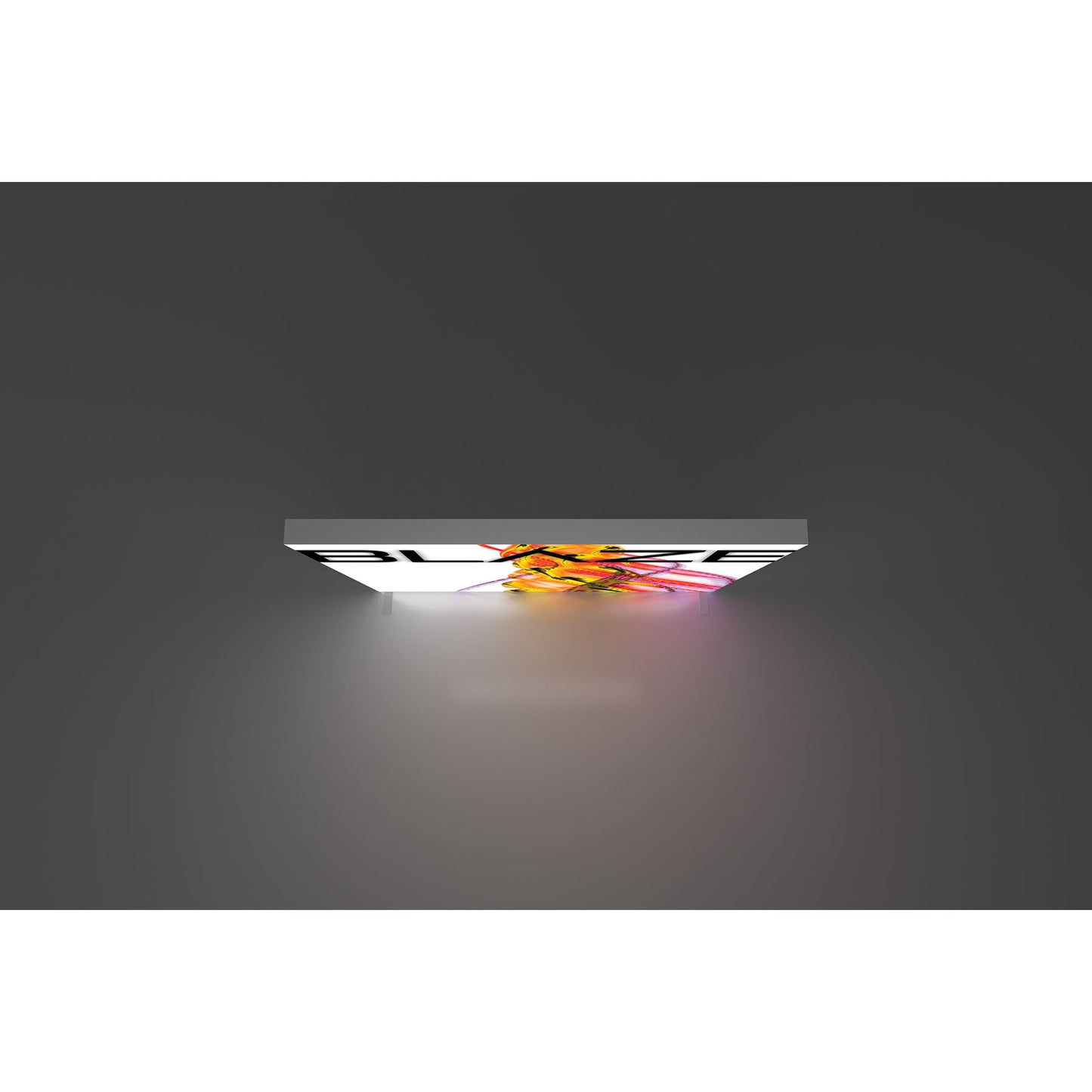 Blaze™ 10' × 8' Freestanding Light Box