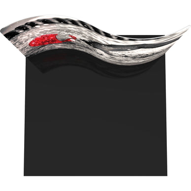 10' Serpentine Curve Display Booth