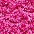 Advantage XL™ 20′ × 20′ Tradeshow Carpeting