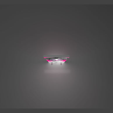 Vector Fast Frame™ Light Box 01